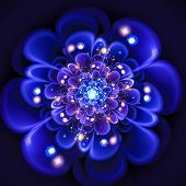 fractal flower