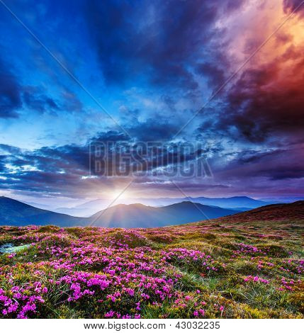 Picture or Photo of Majestic sunset in the mountains landscape. Overcast sky before storm. Carpathian, Ukraine, Europe. Beauty world.