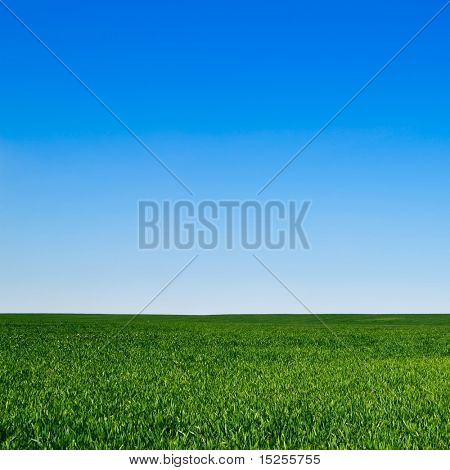 Picture or Photo of Beautiful landscape, clean blue sky