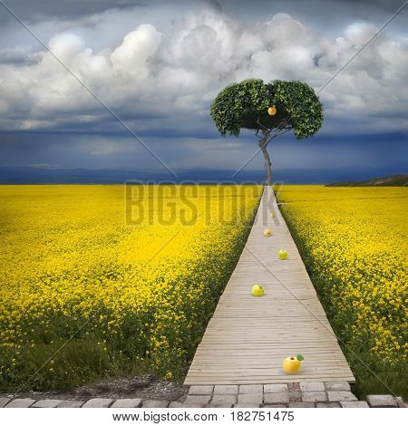 Poster: Biblical Apple Of Temptation
