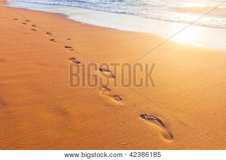 Picture or Photo of Beach, wave and footsteps at sunset time