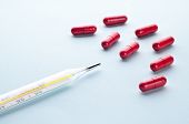 Viagra And Conception