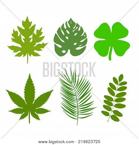 green leaf ecology nature element vector logo design shape leaf